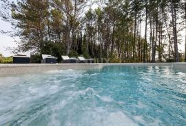 ISTRA, ROVINJ - Moderna prizemnica s bazenom 800 metara od mora, Rovinj, Haus