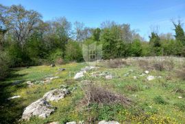 Vrsar okolica, građevinsko zemljište na rubu naselja!, Vrsar, Terreno