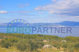 Zemljište s maslinikom i pogledom na more, 20.000 m2, Supetar, Terrain