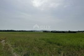 ISTRA, UMAG - Poljoprivredno zemljište 25.000 m2, Umag, Terreno