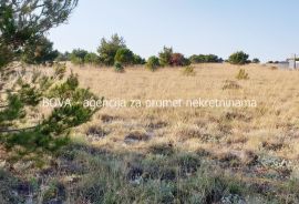Poljoprivredno zemljište 3000 m2 na Viru, Zadar *400 m OD MORA*  (ID-1875), Vir, Zemljište