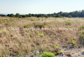 Poljoprivredno zemljište 11000 m2 na Viru, Zadar *POGLED MORE*  (ID-1870), Vir, Terra