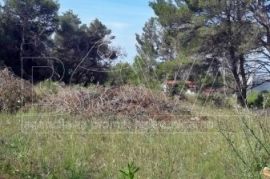 Poljoprivredno zemljište 1000 m2 na Viru, Zadar *350 m OD PLAŽE* *SNIŽENO*, Vir, Land