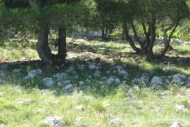 Poljoprivredno zemljište 1200 m2 na Viru, Zadar *POGLED MORE*, Vir, Terreno