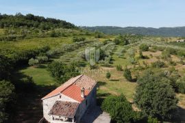 Grožnjan, okolica! Imanje sa velikim zemljištem!, Grožnjan, Arazi