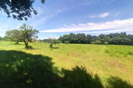 Građevinsko zemljište 634 m2 na mirnoj lokaciji, okolica Barbana, Barban, Terrain