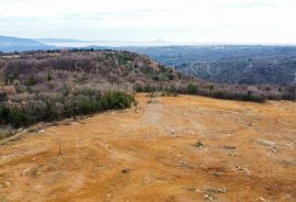 GRAĐEVINSKO ZEMLJIŠTE, PRODAJA, MARČANA, 44.991 m2, Marčana, Terra