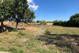 PRODAJA, GRAĐEVINSKO ZEMLJIŠTE, ŠKATARI  1117 M2, Pula, Terrain