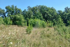 PRODAJA, GRAĐEVINSKO ZEMLJIŠTE, REŽANCI, Svetvinčenat, Terrain