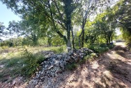 PRODAJA, GRAĐEVINSKO ZEMLJIŠTE, RAKALJ, 1300 M2, Marčana, Terrain