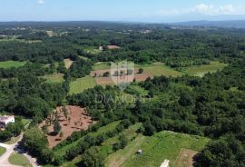 Barban, okolica, prostrano građevinsko zemljište, Barban, Terrain