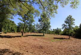 Barban, okolica, građevinsko zemljište na lijepoj lokaciji, Barban, Land