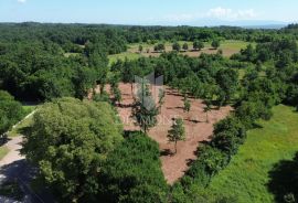 Barban, okolica, građevinsko zemljište na lijepoj lokaciji, Barban, Terreno