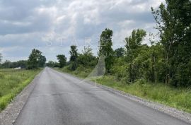 ZEMLJIŠTE, NAJAM, VELIKA GORICA, LAZINA ČIČKA, 3200 m2, Velika Gorica - Okolica, Tierra