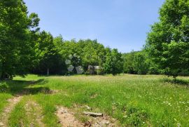 Za ljubitelje netaknute prirode, Vinodolska Općina, Terrain