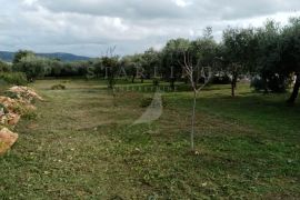 PRODAJA, GRAĐEVINSKO ZEMLJIŠTE, RAKALJ, 2.000 M2, Marčana, Terrain