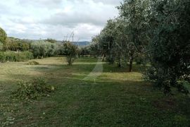 PRODAJA, GRAĐEVINSKO ZEMLJIŠTE, RAKALJ, 2.000 M2, Marčana, Terreno