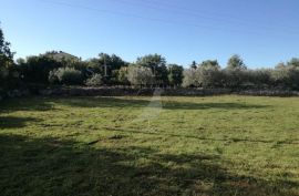 PRODAJA, GRAĐEVINSKO ZEMLJIŠTE, KAVRAN, 1542 M2, Marčana, Terrain