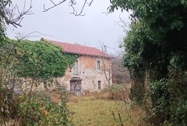 2 KUĆE NA VELIKOM IMANJU, PRODAJA, OPRTALJ, BUJE, Oprtalj, House