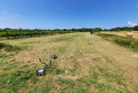 GRAĐEVINSKO ZEMLJIŠTE, PRODAJA, VALTURA, LIŽNJAN, 900 M2, Ližnjan, Terra