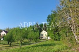 KUĆA U PREDIVNOM OKRUŽENJU - RIČICE, Lovinac, House