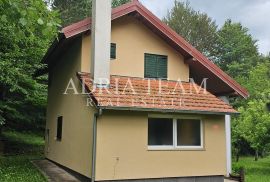 KUĆA S VELIKOM OKUĆNICOM - RIČICE, Lovinac, Haus