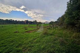 PRODAJA, GRAĐEVINSKO ZEMLJIŠTE, LOBORIKA, 750 M2, Marčana, Zemljište