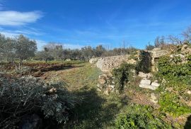 PRODAJA, ZEMLJIŠTE S RUŠEVINOM, FAŽANA, 1200 M2, Fažana, Zemljište