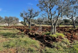 PRODAJA, ZEMLJIŠTE S RUŠEVINOM, FAŽANA, 1200 M2, Fažana, Terreno