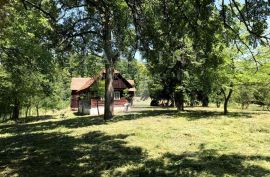 PRODAJA, VIKENDICA, MAHIĆNO, na parceli od 6213 m2, Karlovac - Okolica, House