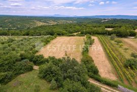 Građevinsko - poljoprivredno  zemljište 15 km od Pule, 2 km od mora, Marčana, Terra