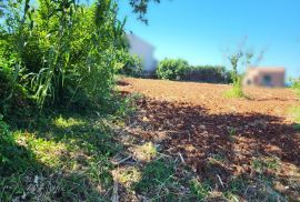 ISTRA, NOVIGRAD - Građevinsko i poljoprivredno zemljište, Novigrad, Land