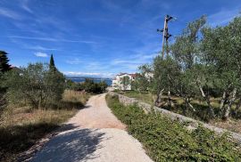 OTOK PAŠMAN, ŽDRELAC - Građevinsko zemljište 150 m od mora, Pašman, Land