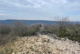 PRODAJA, GRAĐEVINSKO ZEMLJIŠTE, ČABRUNIĆI, 351 M2, Svetvinčenat, Land