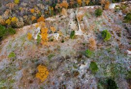 GRAĐEVINSKO ZEMLJIŠTE, PRODAJA, TRGET, 1620 m2, Raša, Terrain