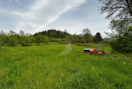 PRODAJA, KUĆA, PODPIĆAN, 150 m2, Pićan, Дом