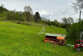 PRODAJA, 2 KUĆE, PODPIĆAN, 150 m2, Pićan, Famiglia