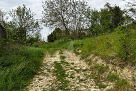 PRODAJA, KUĆA ZA ADAPTACIJU, PODPIĆAN, 9500 m2, Pićan, Haus