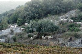 Poljoprivredno zemljište s mogućnošću gradnje, Postira, Postira, Tierra