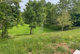 PRODAJA, GRAĐEVINSKO ZEMLJIŠTE, BALIĆI, 800 M2, Žminj, Tierra