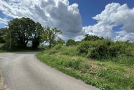 Zemljište s dozvolom i plaćenim komunalijama, Barban, Istra, Barban, Zemljište