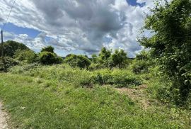 Zemljište s dozvolom i plaćenim komunalijama, Barban, Istra, Barban, Land