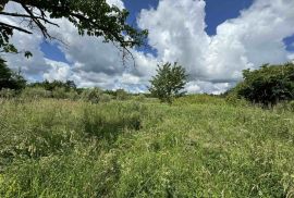 Zemljište s dozvolom i plaćenim komunalijama, Barban, Istra, Barban, Terreno