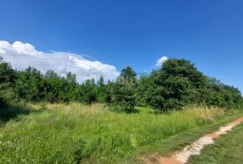 ISTRA, MARČANA - Kompleks građevinskog i poljoprivrednog zemljišta na lijepoj lokaciji, Marčana, Arazi