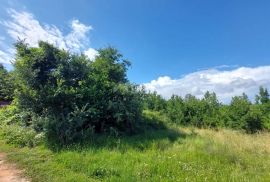 ISTRA, MARČANA - Kompleks građevinskog i poljoprivrednog zemljišta na lijepoj lokaciji, Marčana, Terrain