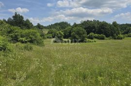 ISTRA, PIĆAN - Predivna livada površine 5938 m2, Pićan, Terreno