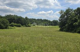 ISTRA, PIĆAN - Predivna livada površine 5938 m2, Pićan, Terreno