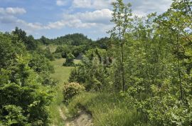 ISTRA, PIĆAN - Predivna livada površine 5938 m2, Pićan, Arazi