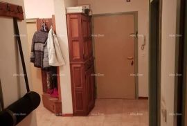 Stan Trosoban stan u prizemlju s vrtom 3min vožnje do centra, Rovinj, Appartement