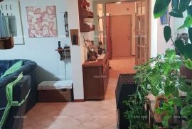 Stan Trosoban stan u prizemlju s vrtom 3min vožnje do centra, Rovinj, Apartamento